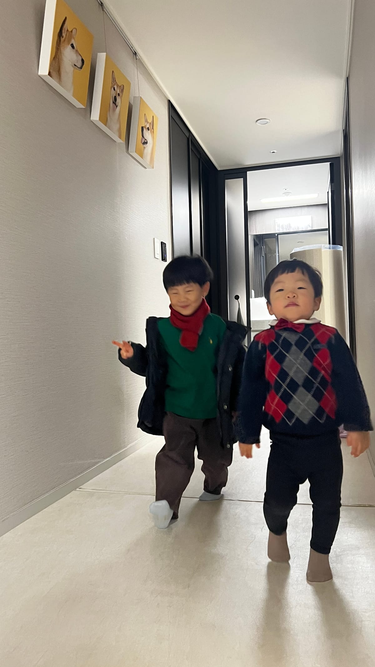 어여쁜 아가들