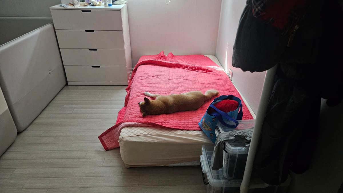 아침의 평온